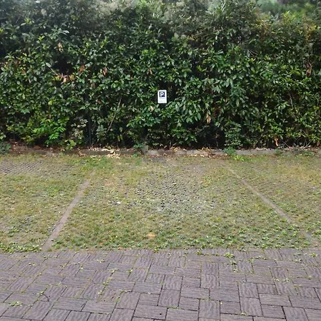 Il Gelsomino Apartment